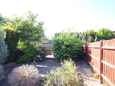 Picture 11